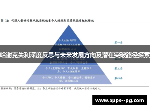 哈谢克失利深度反思与未来发展方向及潜在突破路径探索