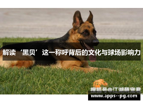 解读‘黑贝’这一称呼背后的文化与球场影响力