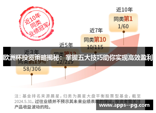 欧洲杯投资策略揭秘：掌握五大技巧助你实现高效盈利