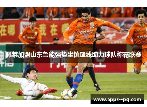 佩莱加盟山东鲁能强势坐镇锋线助力球队称霸联赛