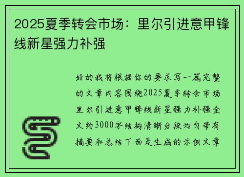 2025夏季转会市场：里尔引进意甲锋线新星强力补强